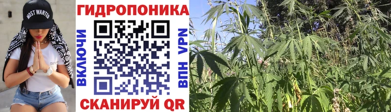 МАРИХУАНА сатива  Купить где  Очёр 